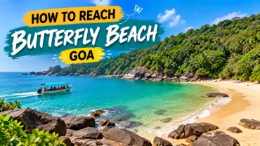 Discovering Butterfly Beach Goa: A Hidden Gem of Tranquility