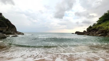 Butterfly Island Goa Travel Guide: History, Things to Do & Tips