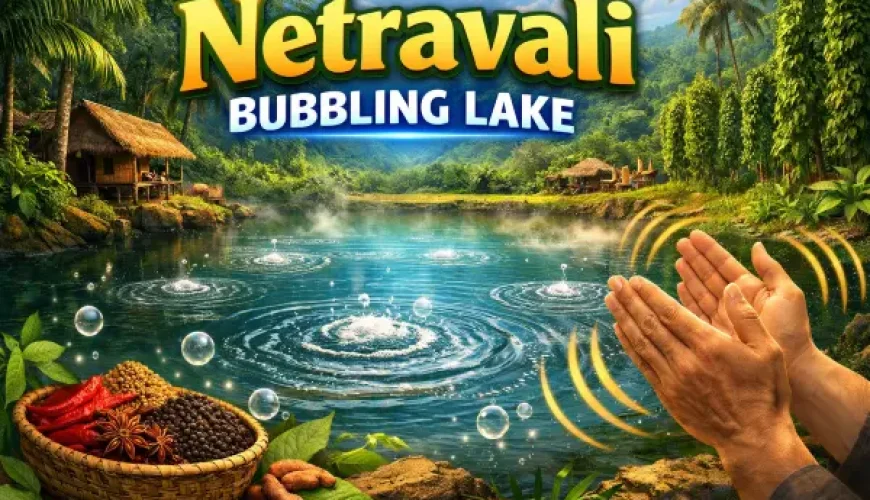Netravali Bubbling Lake: Goa’s Mysterious Natural Wonder