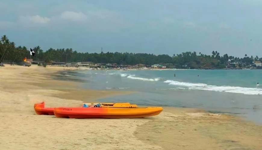Things to do in Palolem Beach with Family